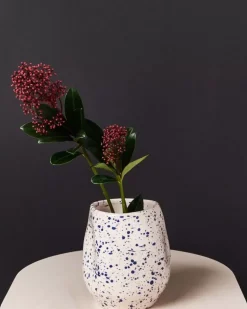 Motel a Miio Joao Vase M Rose Blau Gesprenkelt